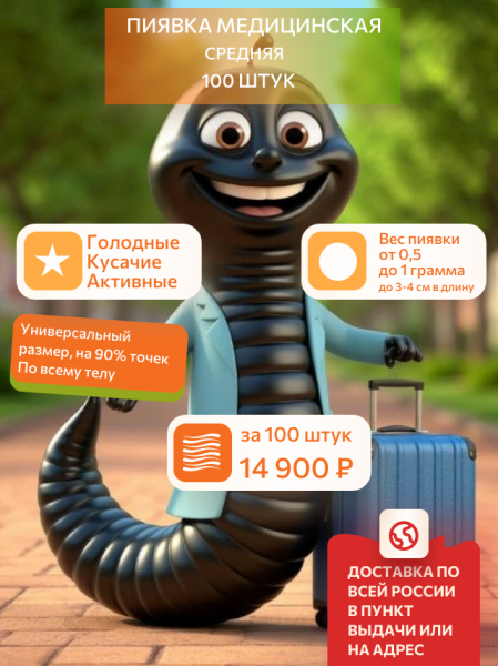  Пиявки медицинские средние, до 1 грамма,  100 штук