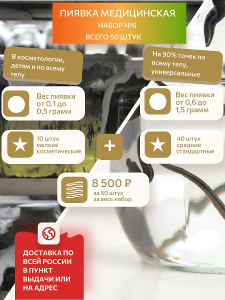 Набор №6 Гирудо-комбо, 10 косметика + 40 средние, всего 50 штук