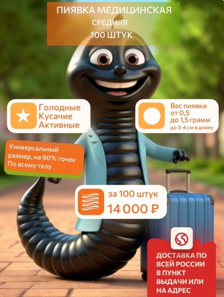  Пиявки медицинские средние 100 штук, Акция до 31.07.2026!
