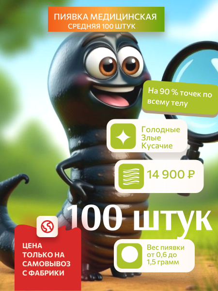  Акция только в Петербурге! Пиявки медицинские средние, 100 штук