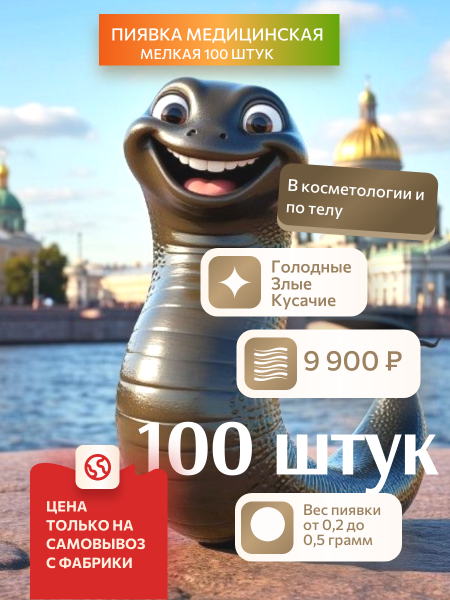  Акция только в Петербурге! Пиявки медицинские мелкие, 100 штук