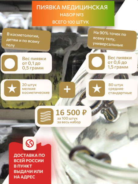 Набор №3 Гирудо-комбо, 20 косметика + 80 средние, всего 100 штук