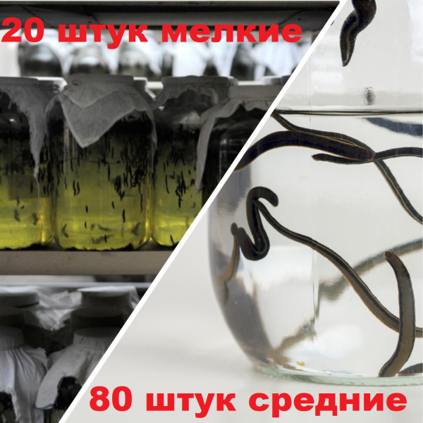 Набор №3 Гирудо-комбо, косметика + средние, всего 100 штук