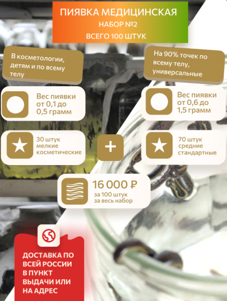 Набор №2 Гирудо-комбо, 30 косметика + 70 средние, всего 100 штук