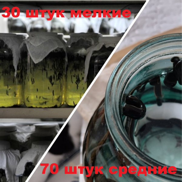 Набор №2 Гирудо-комбо, косметика + средние, всего 100 штук