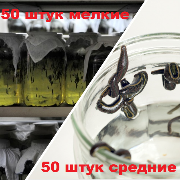 Набор №1 Гирудо-комбо, косметика + средние, всего 100 штук