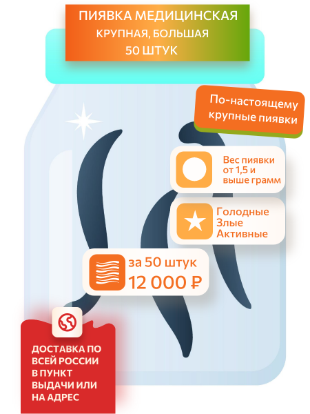 Пиявки медицинские крупные, 50 штук