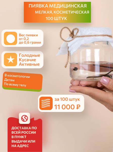  Пиявки медицинские мелкие, 100 штук. Акция! 