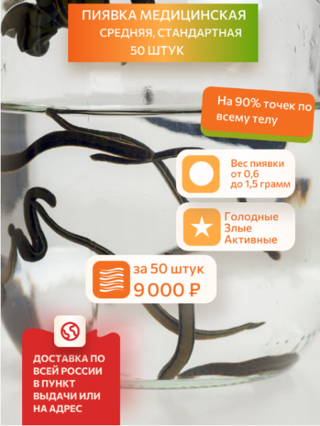 Пиявки медицинские средние, 50 штук