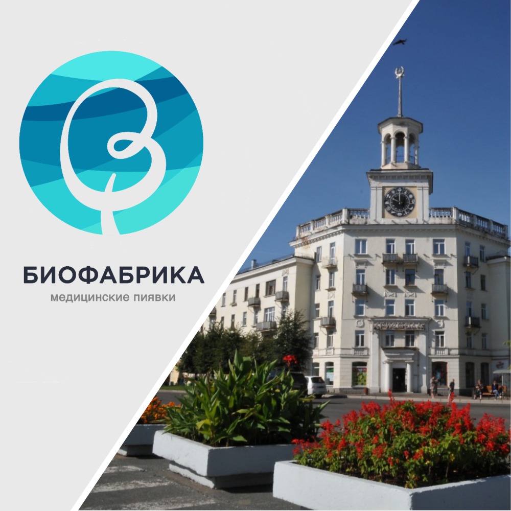 где купить пиявки в Железногорске