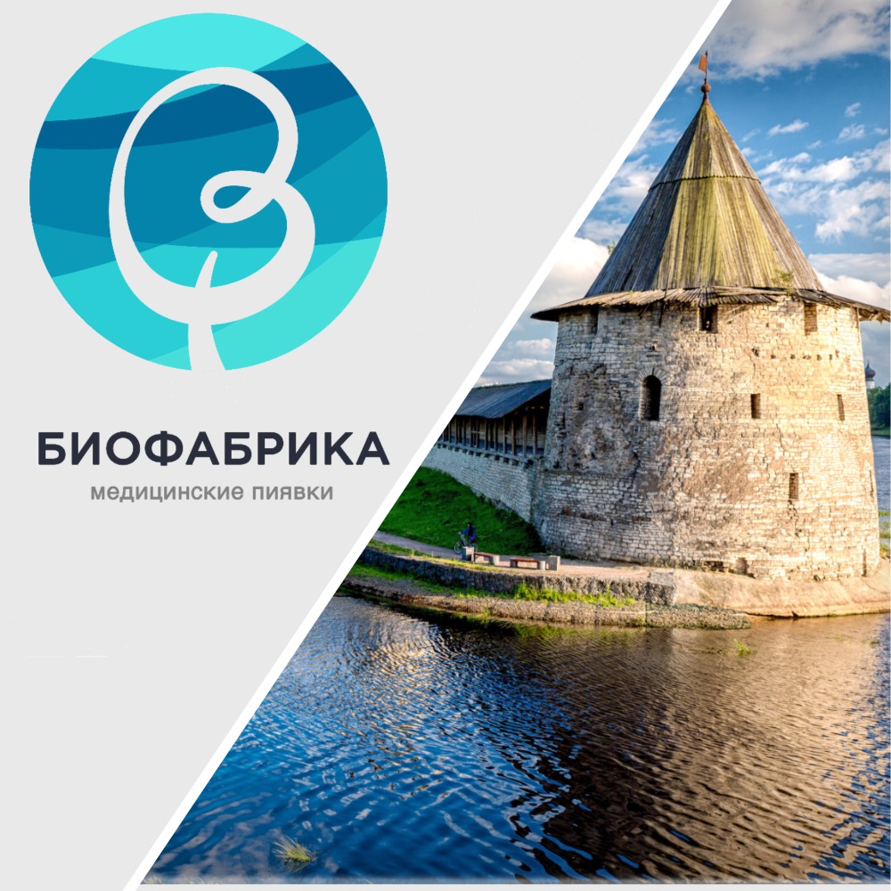 где купить пиявки во Пскове
