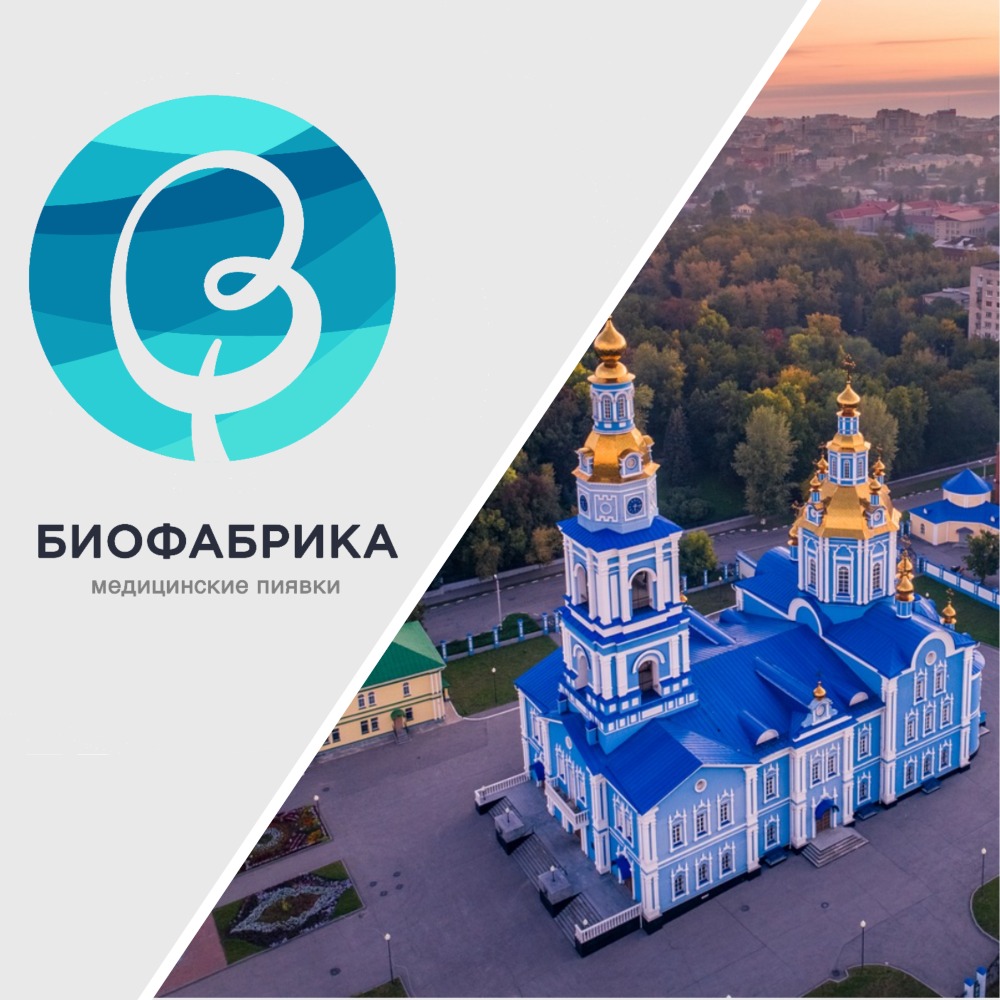где купить пиявки в Ульяновске